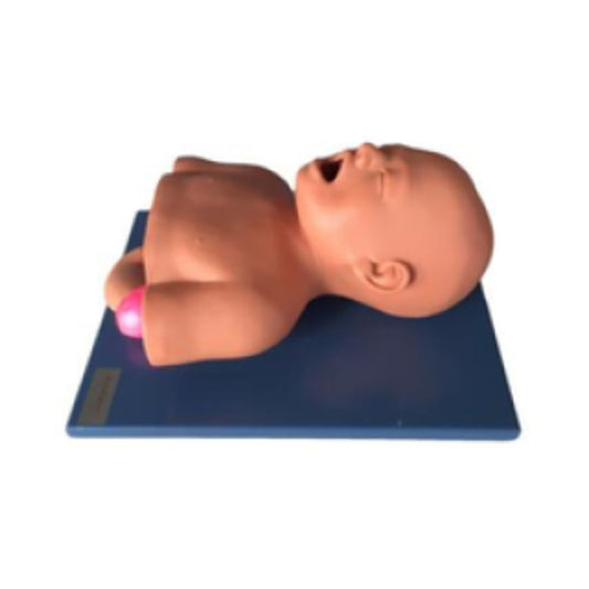 Infant Trachea Intubation Model