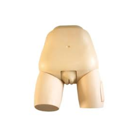 Fundus of Uterus Exam&Evaluation Simulator