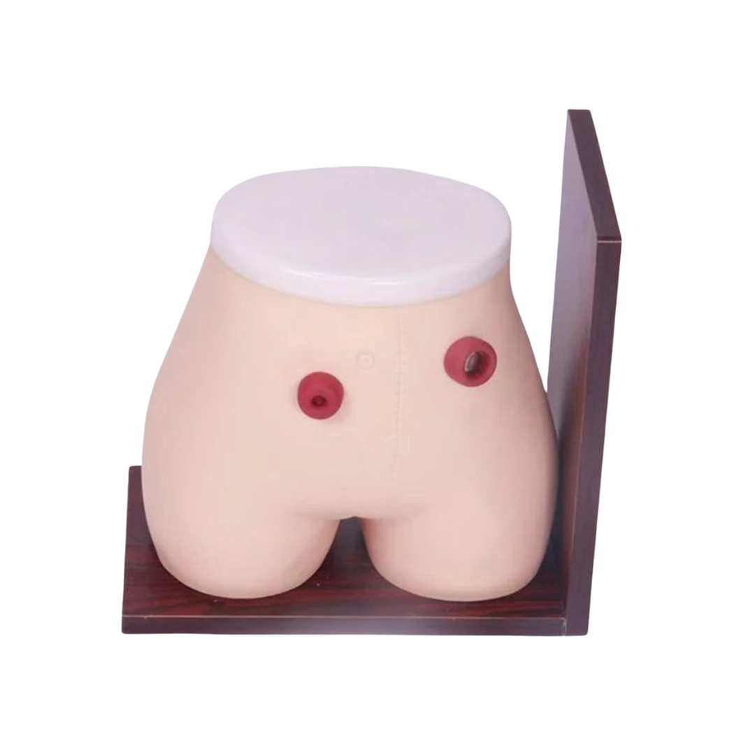 Ostomy Nursing Model