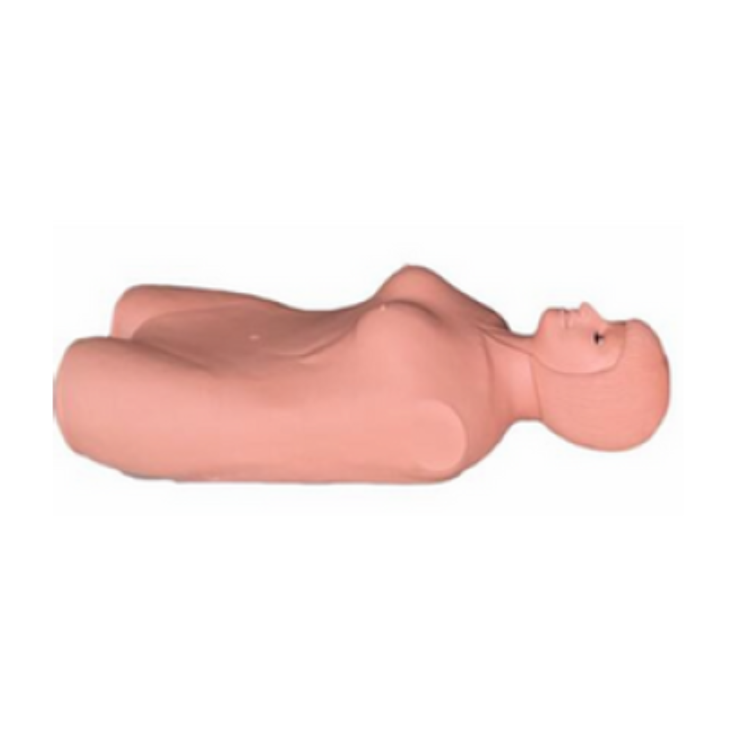 Abdominal Palpation Manikin