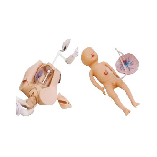 Advanced Manual Delivery Mechanism Demonstration Simulator