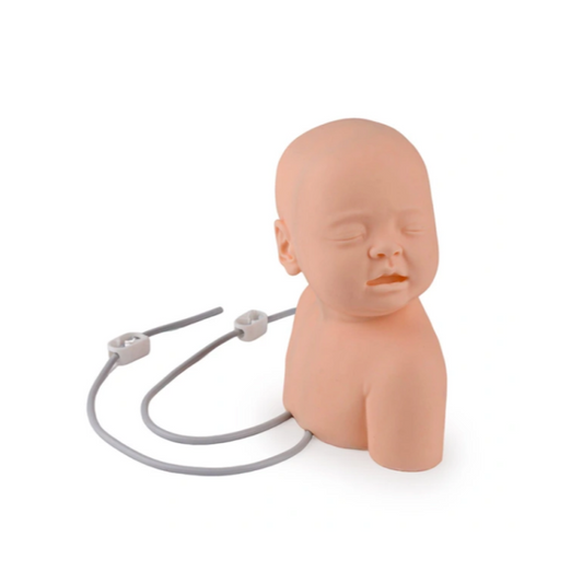 Infant Scalp Intravenous(IV) Injection Practice Model