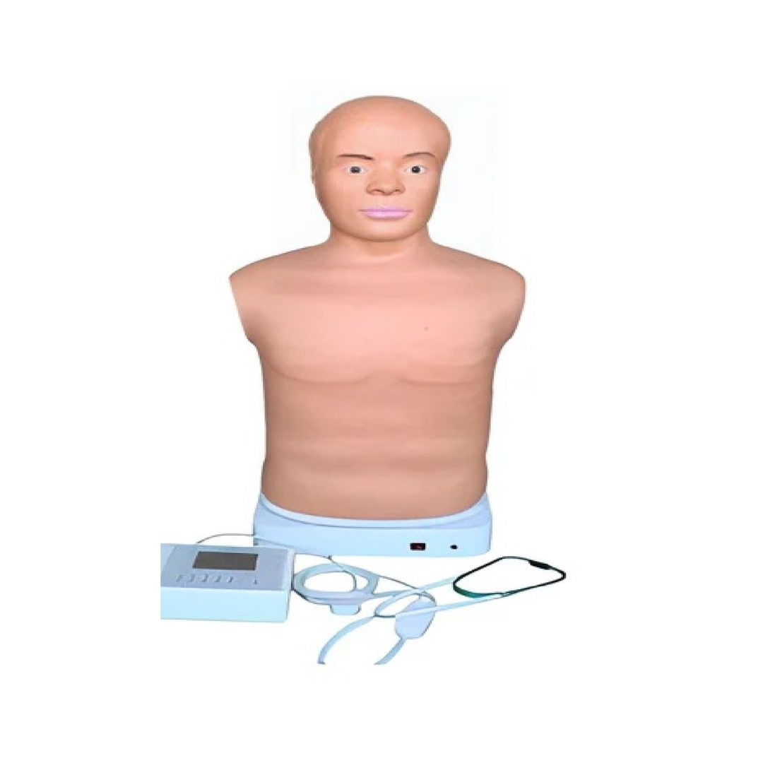 Auscultation Manikin