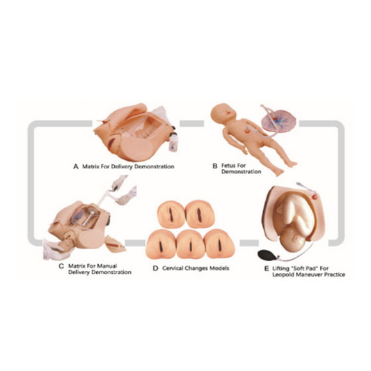 Advanced Abdominal Palpation And Delivery Mechanism Integrated Simulator