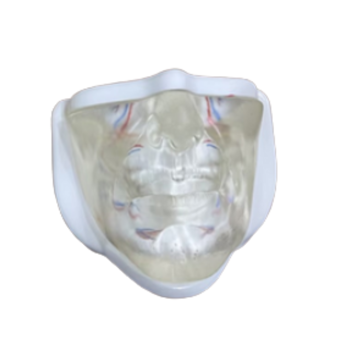 Clear facial injection face lower face with veins