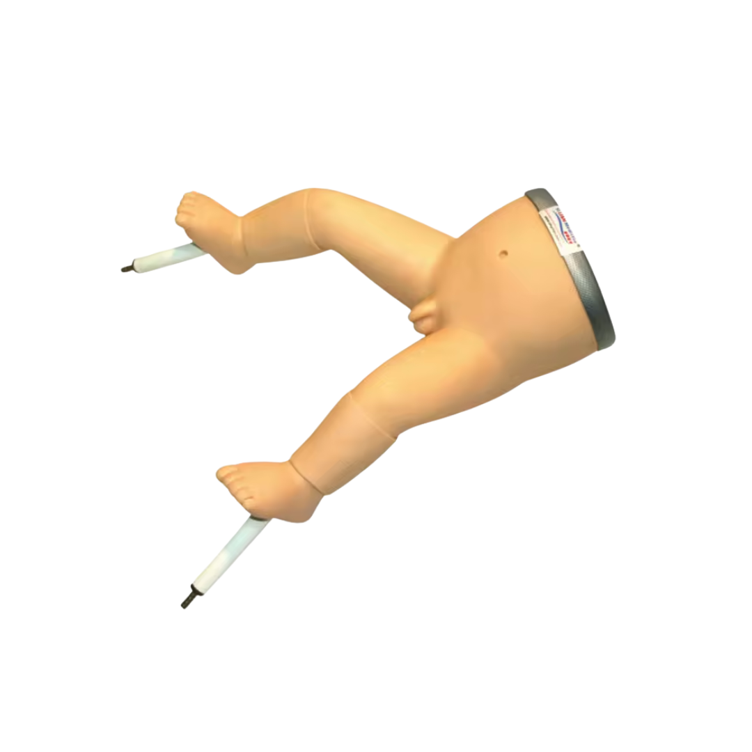 Infant Bone Marrow Puncture Model