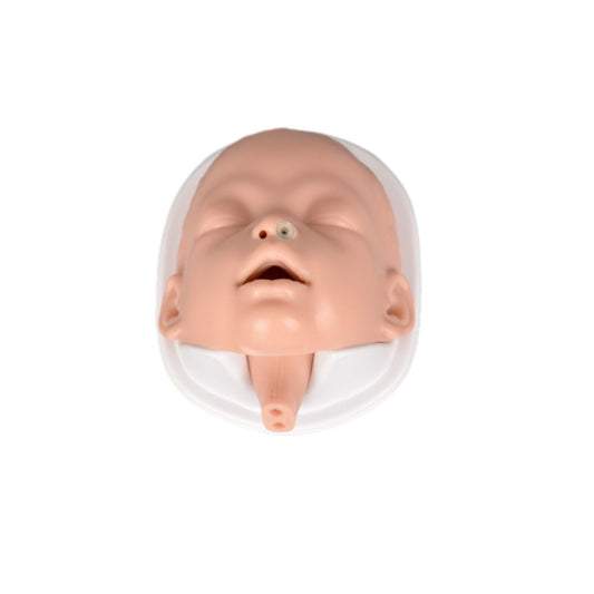 Infant Airway Management Model