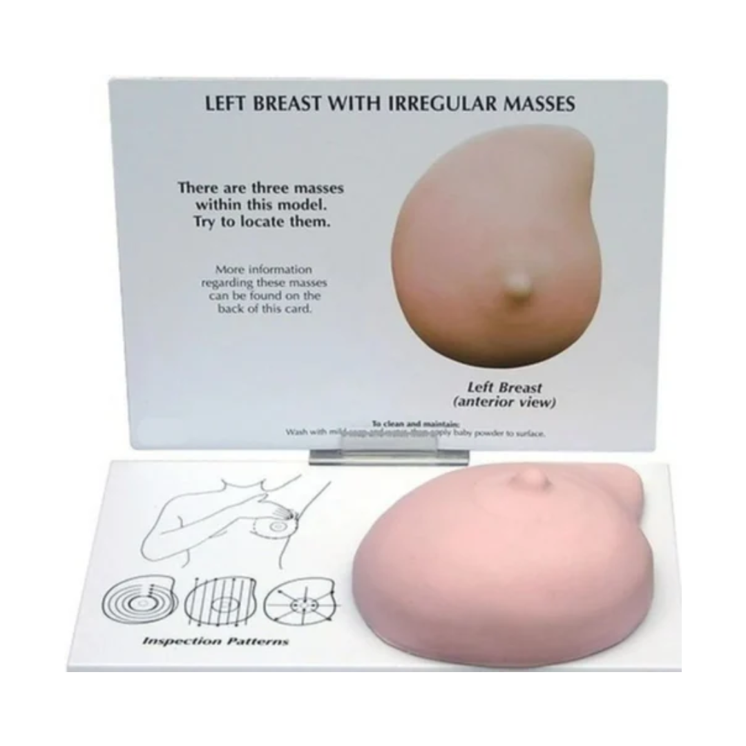 Human Breast Cancer Self-Exam Model