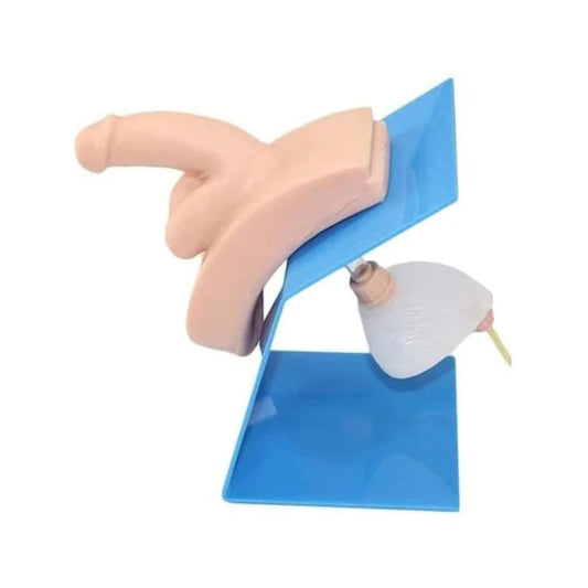 Dressed Male Catheterization Model (Small)