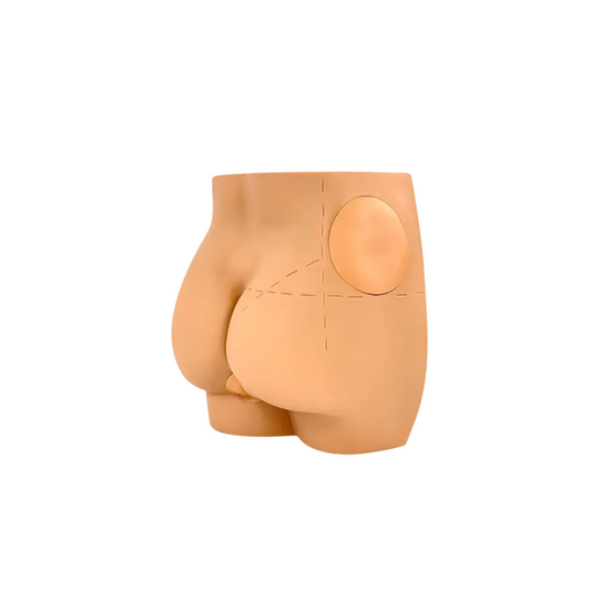 Buttocks Intramuscular Injection Model