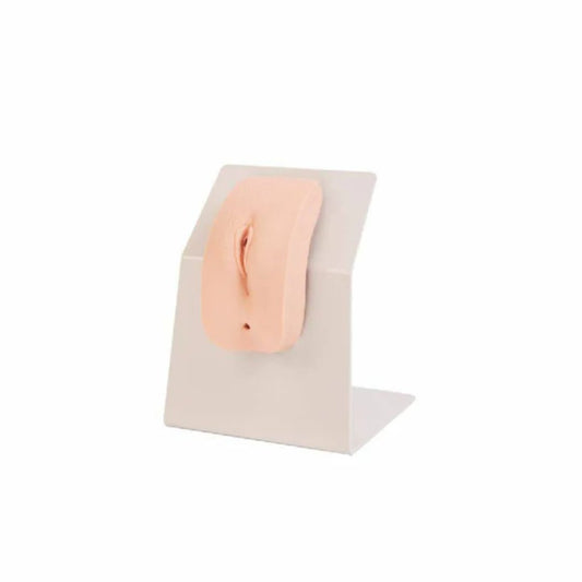 Dressed Female Catheterization Model