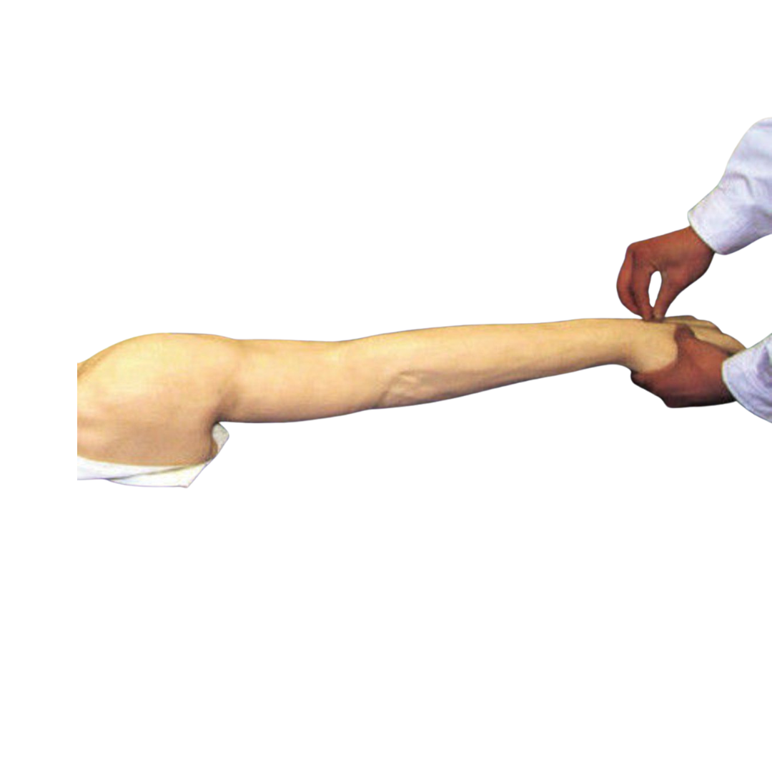 Full Functional Vein Injectible Arm