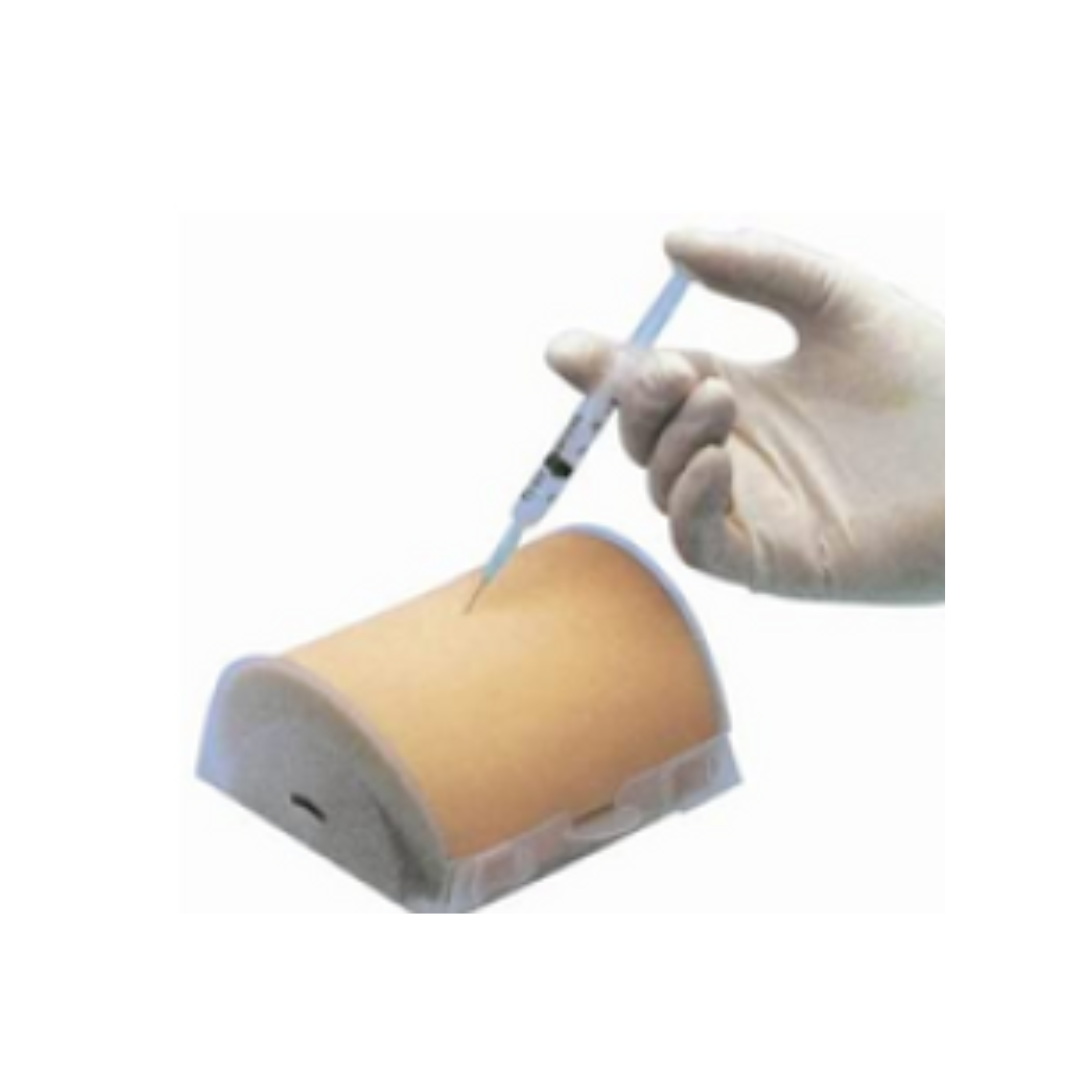 Intramuscular Injection Model