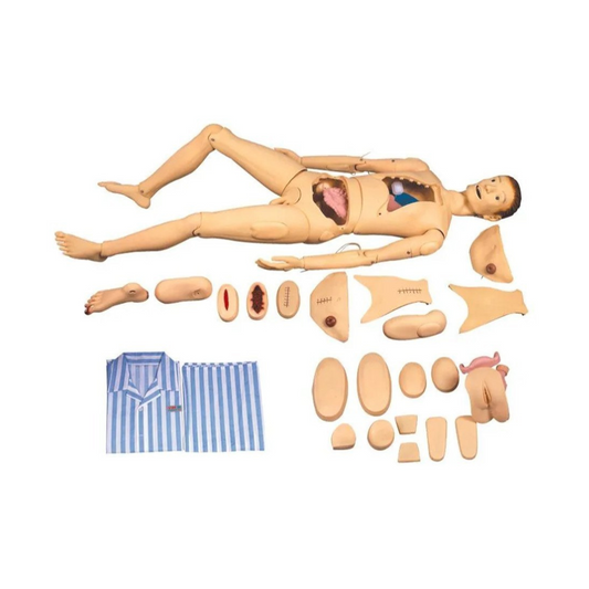 A & B Advanced Nursing and Wound Care Manikin