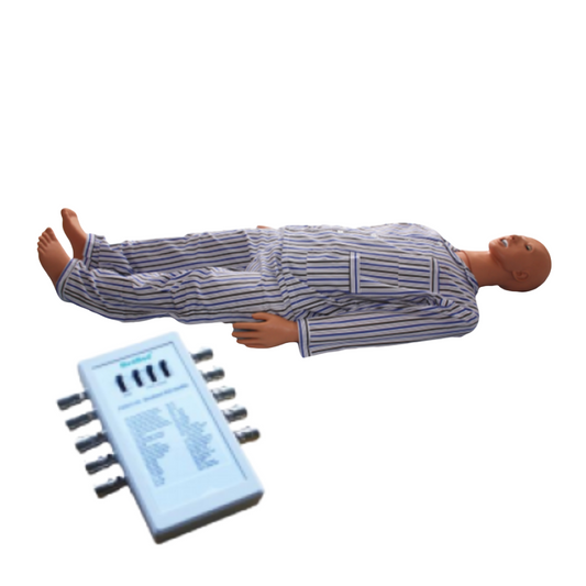ECG Manikin (Standalone)